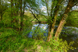 River Saale in spring, Gräfendorf, Gemünden am Main, Fränkische Saale, District Main-Spessart, Bavaria, Germany River Saale in spring, Gräfendorf, Gemünden am Main, Fränkische Saale, District Main-Spessart, Bavaria, Germany